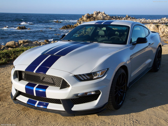 Ford Mustang Shelby GT350 фото