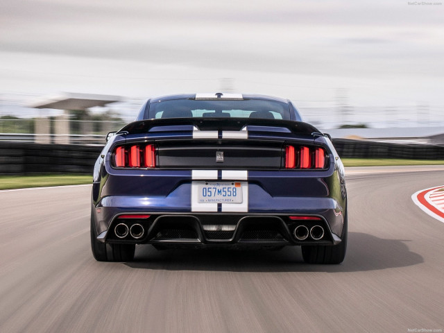 Ford Mustang Shelby GT350 фото