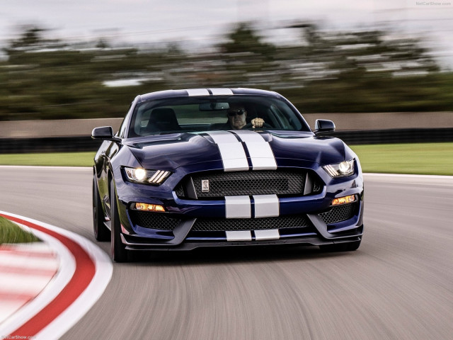 Ford Mustang Shelby GT350 фото