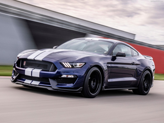 Ford Mustang Shelby GT350 фото