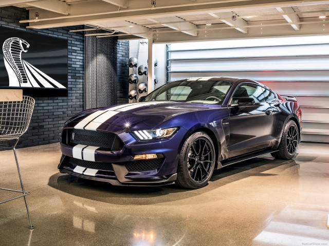 Ford Mustang Shelby GT350 фото