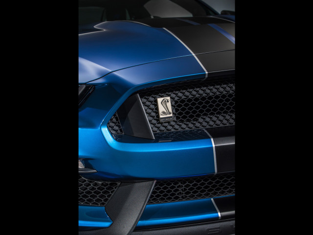 Ford Mustang Shelby GT350R фото