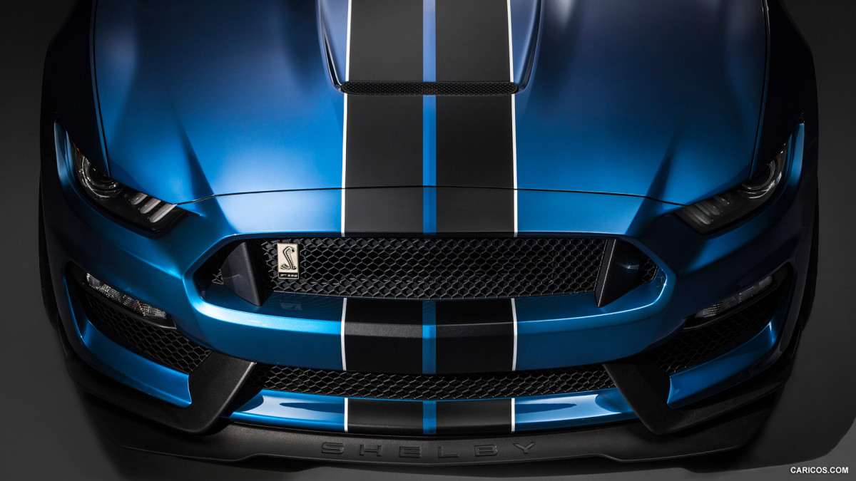 Ford Mustang Shelby GT350R фото 141192