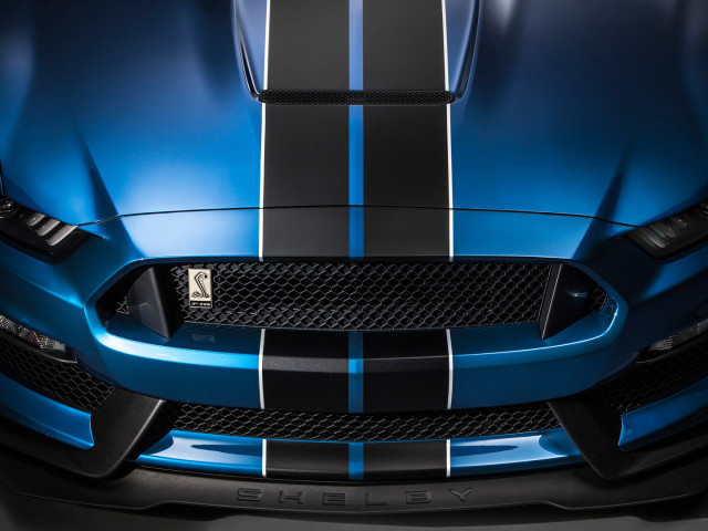 Ford Mustang Shelby GT350R фото