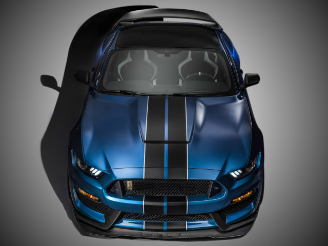 Ford Mustang Shelby GT350R фото