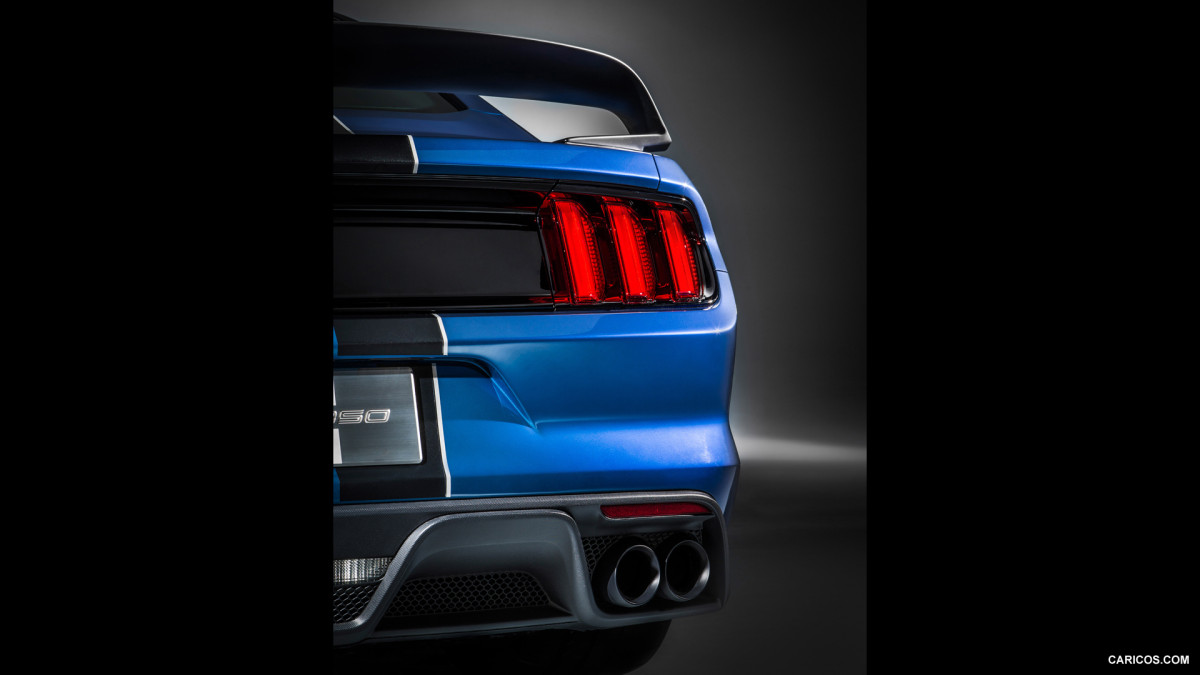 Ford Mustang Shelby GT350R фото 141209