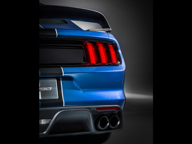 Ford Mustang Shelby GT350R фото