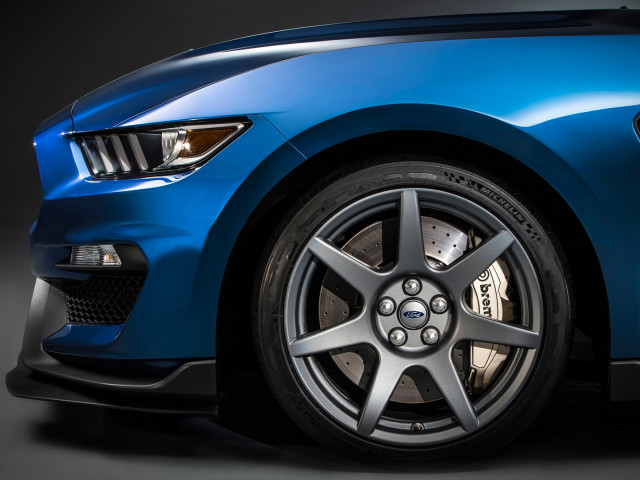 Ford Mustang Shelby GT350R фото