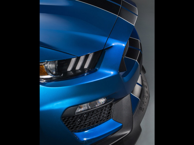 Ford Mustang Shelby GT350R фото