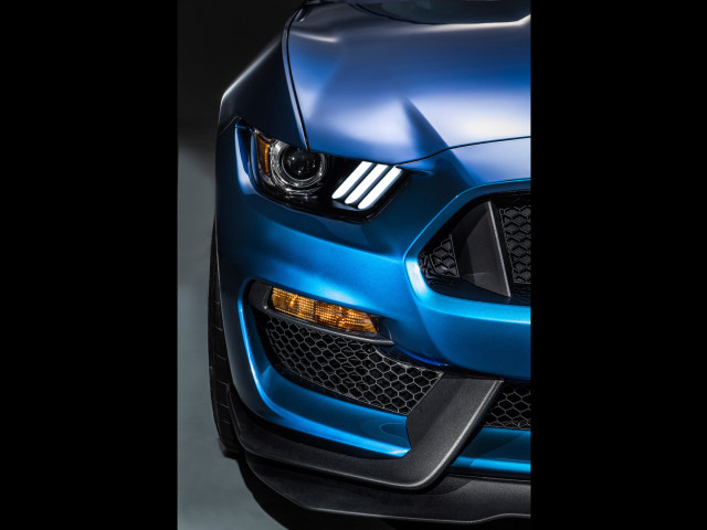 Ford Mustang Shelby GT350R фото