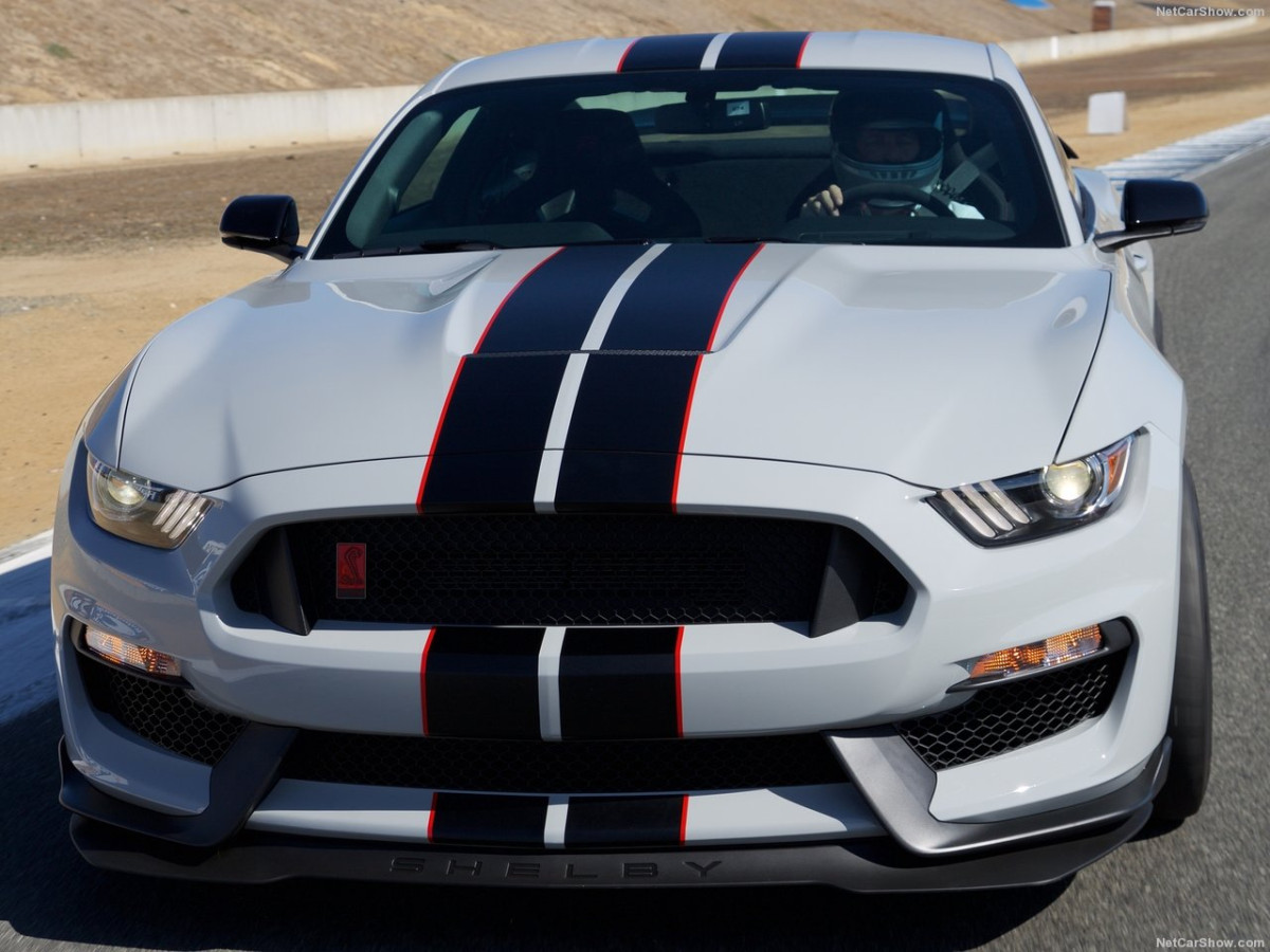 Ford Mustang Shelby GT350R фото 156045