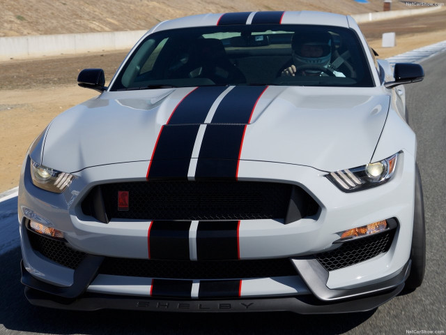 Ford Mustang Shelby GT350R фото