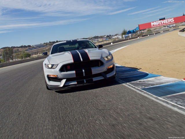 Ford Mustang Shelby GT350R фото