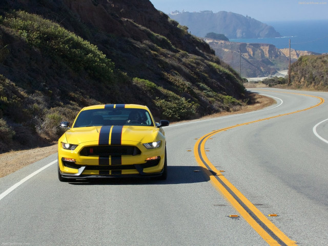 Ford Mustang Shelby GT350R фото