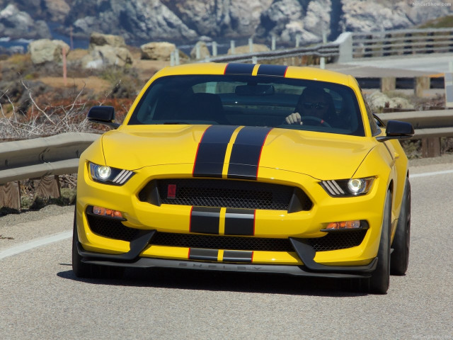 Ford Mustang Shelby GT350R фото