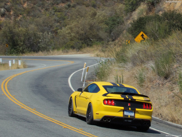 Ford Mustang Shelby GT350R фото