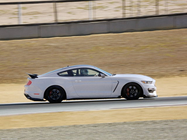 Ford Mustang Shelby GT350R фото