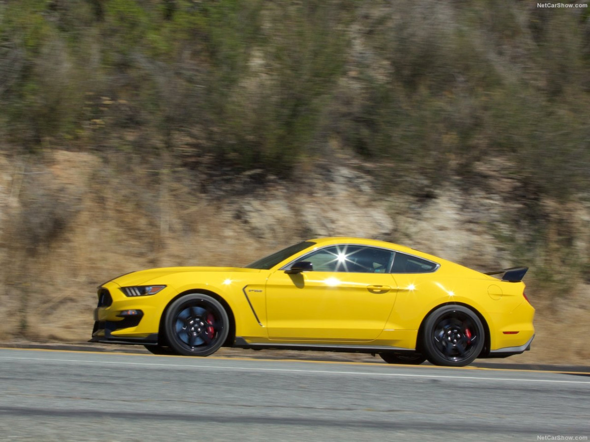 Ford Mustang Shelby GT350R фото 156052