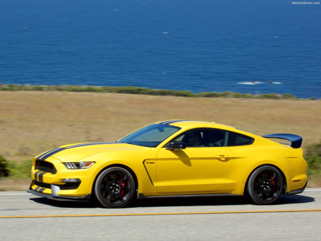 Ford Mustang Shelby GT350R фото