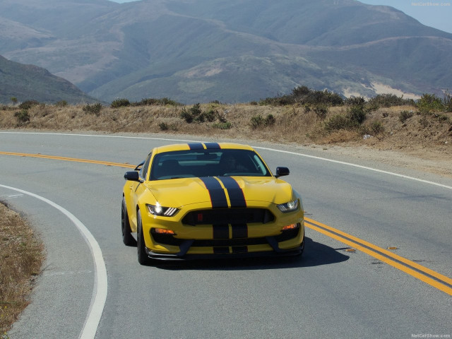 Ford Mustang Shelby GT350R фото