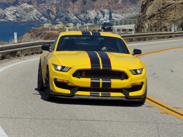 Ford Mustang Shelby GT350R фото