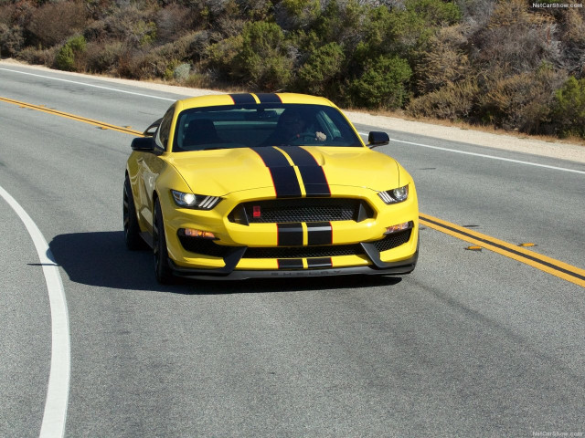 Ford Mustang Shelby GT350R фото