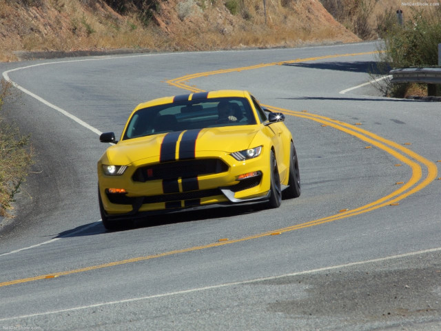 Ford Mustang Shelby GT350R фото