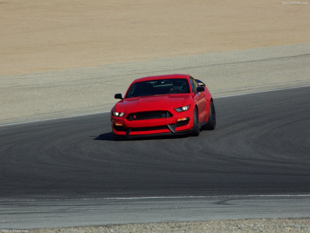 Ford Mustang Shelby GT350R фото