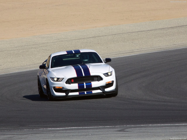 Ford Mustang Shelby GT350R фото