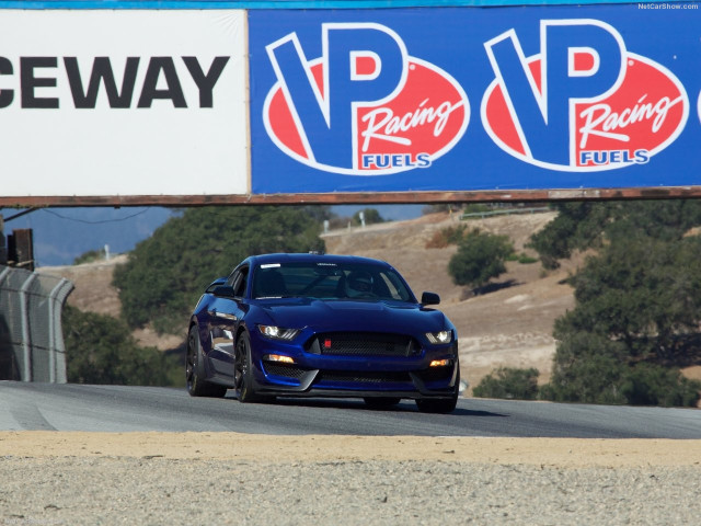 Ford Mustang Shelby GT350R фото