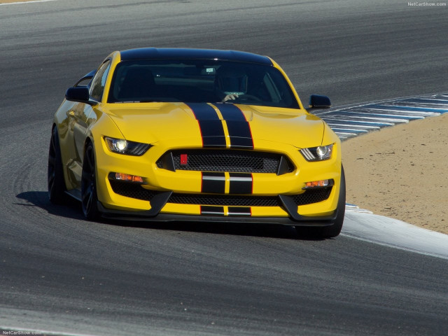 Ford Mustang Shelby GT350R фото