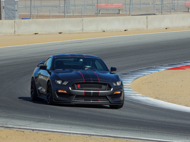 Ford Mustang Shelby GT350R фото