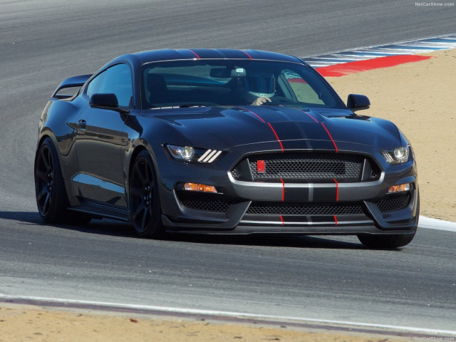 Ford Mustang Shelby GT350R фото