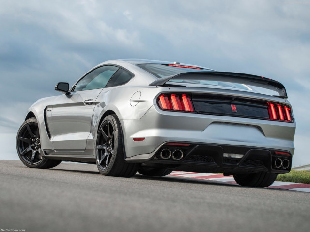 Ford Mustang Shelby GT350R фото