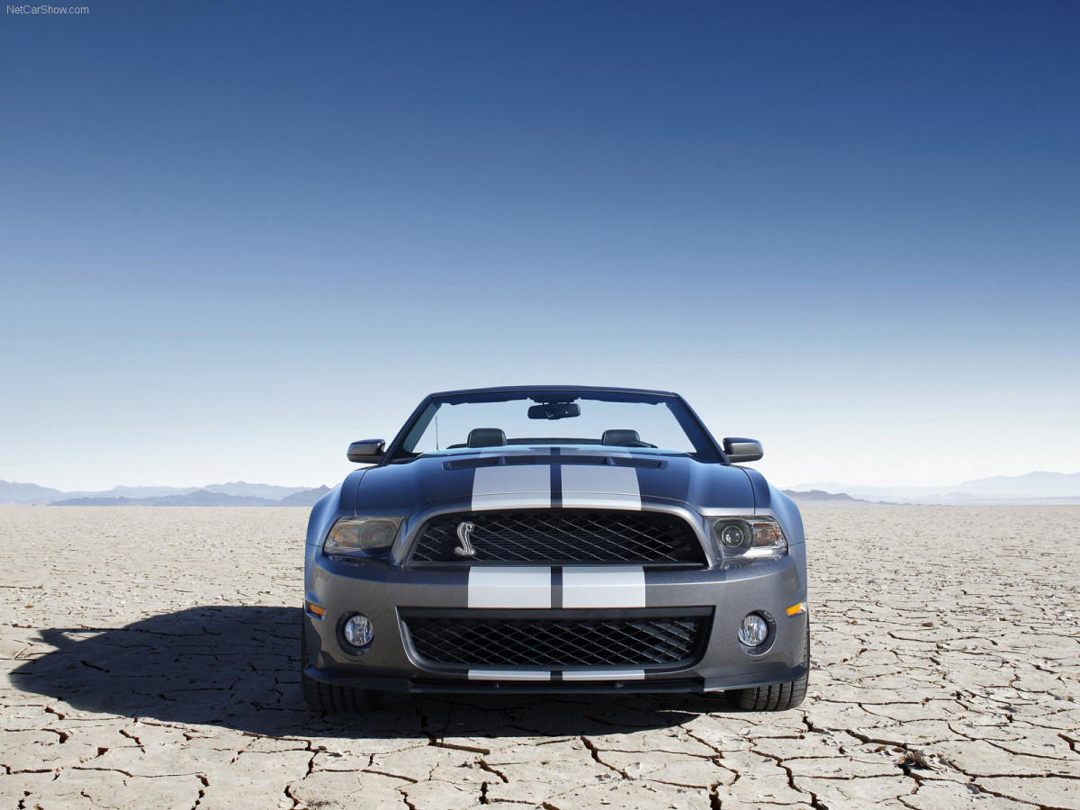 Ford Mustang Shelby GT500 Convertible фото 61829