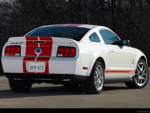 Ford Mustang Shelby GT500 Red Stripe фото