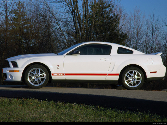 Ford Mustang Shelby GT500 Red Stripe фото