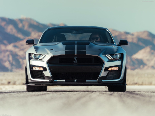 Ford Mustang Shelby GT500 фото