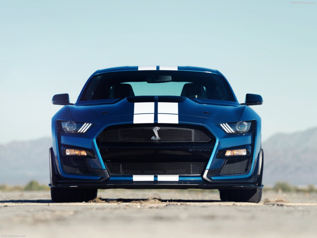 Ford Mustang Shelby GT500 фото