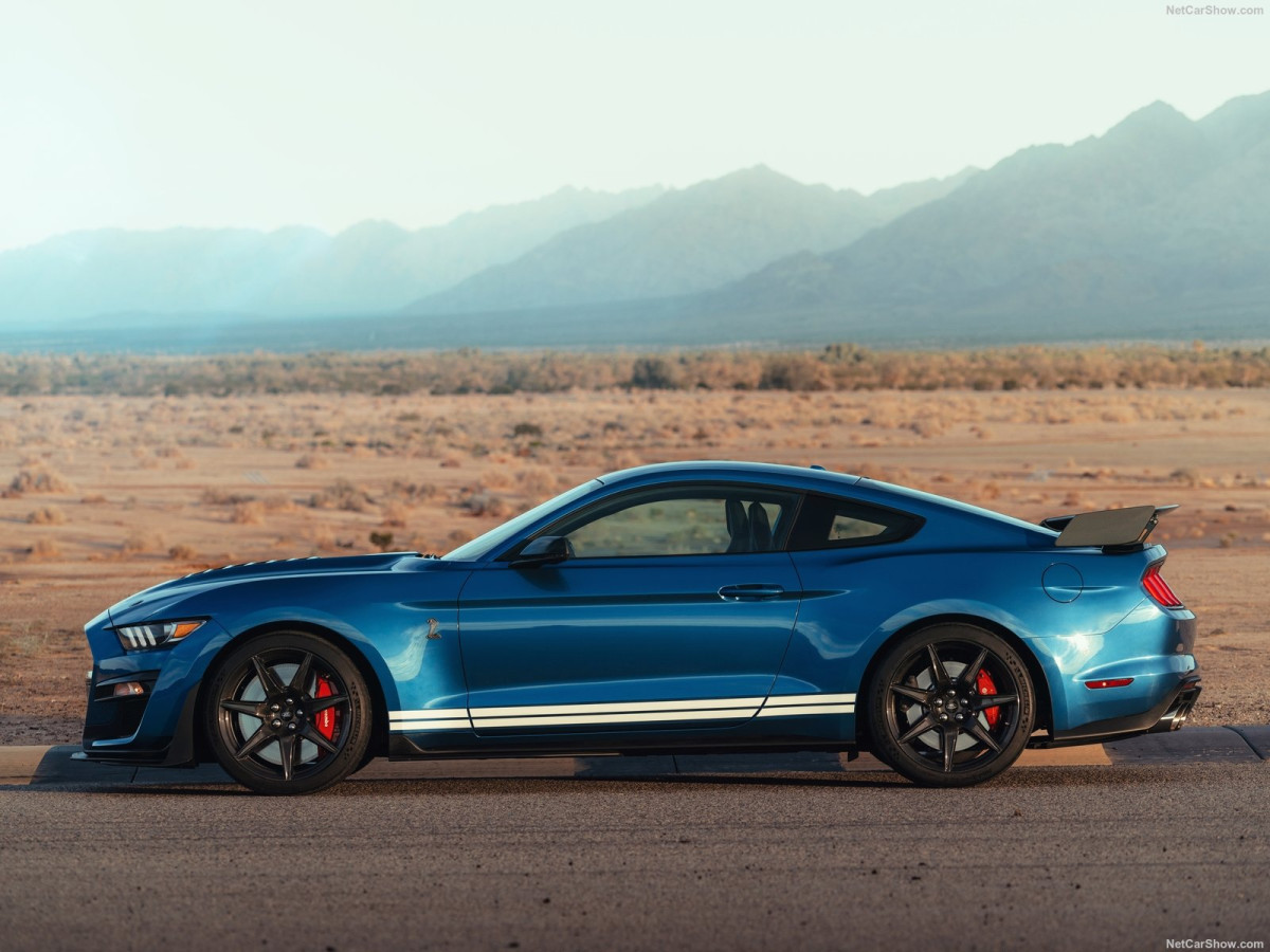 Ford Mustang Shelby GT500 фото 199895