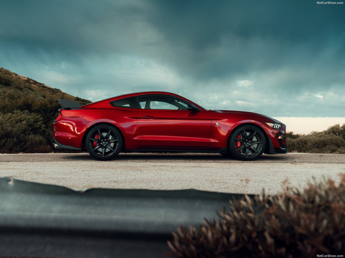 Ford Mustang Shelby GT500 фото 199896