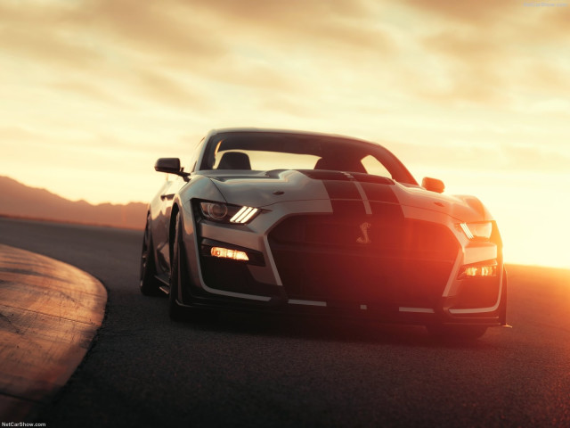 Ford Mustang Shelby GT500 фото