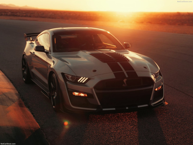 Ford Mustang Shelby GT500 фото