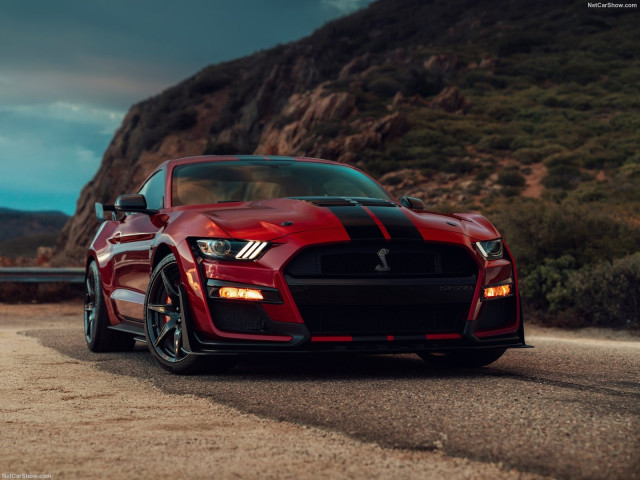 Ford Mustang Shelby GT500 фото