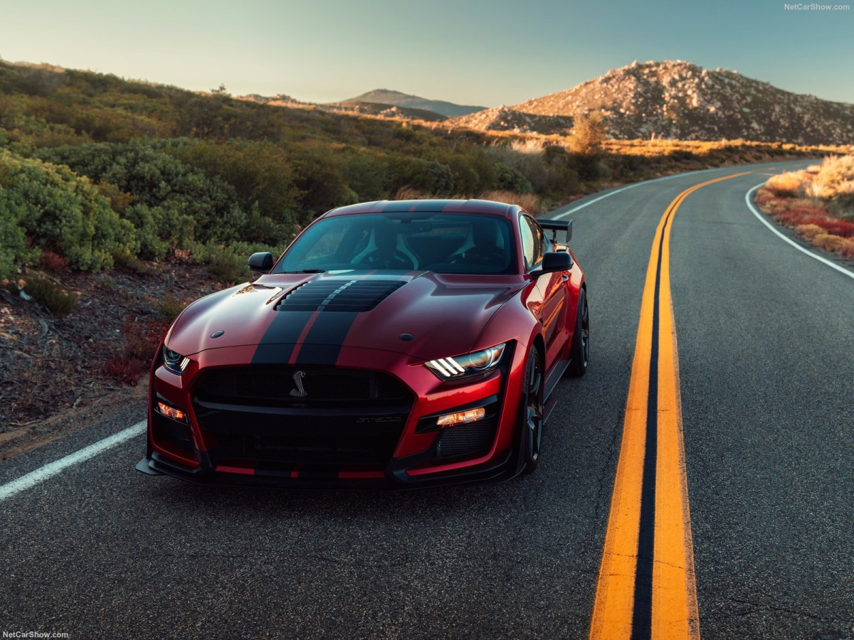 Ford Mustang Shelby GT500 фото 199903