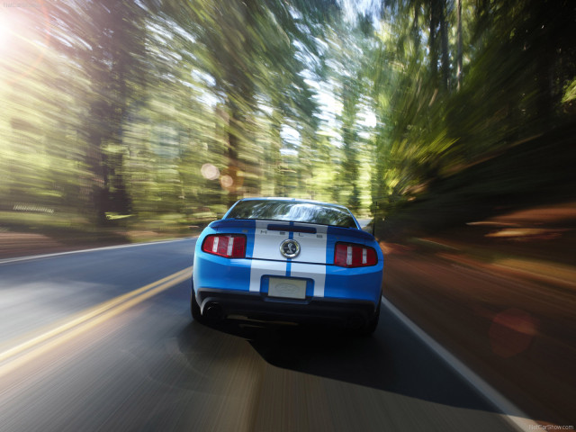 Ford Mustang Shelby GT500 фото