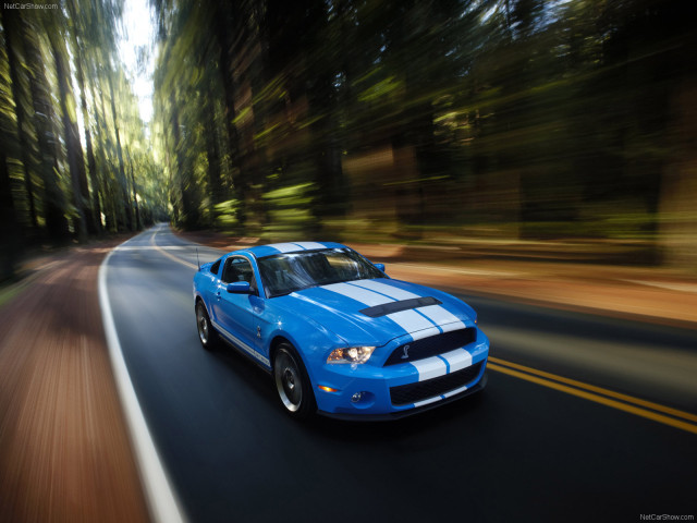 Ford Mustang Shelby GT500 фото