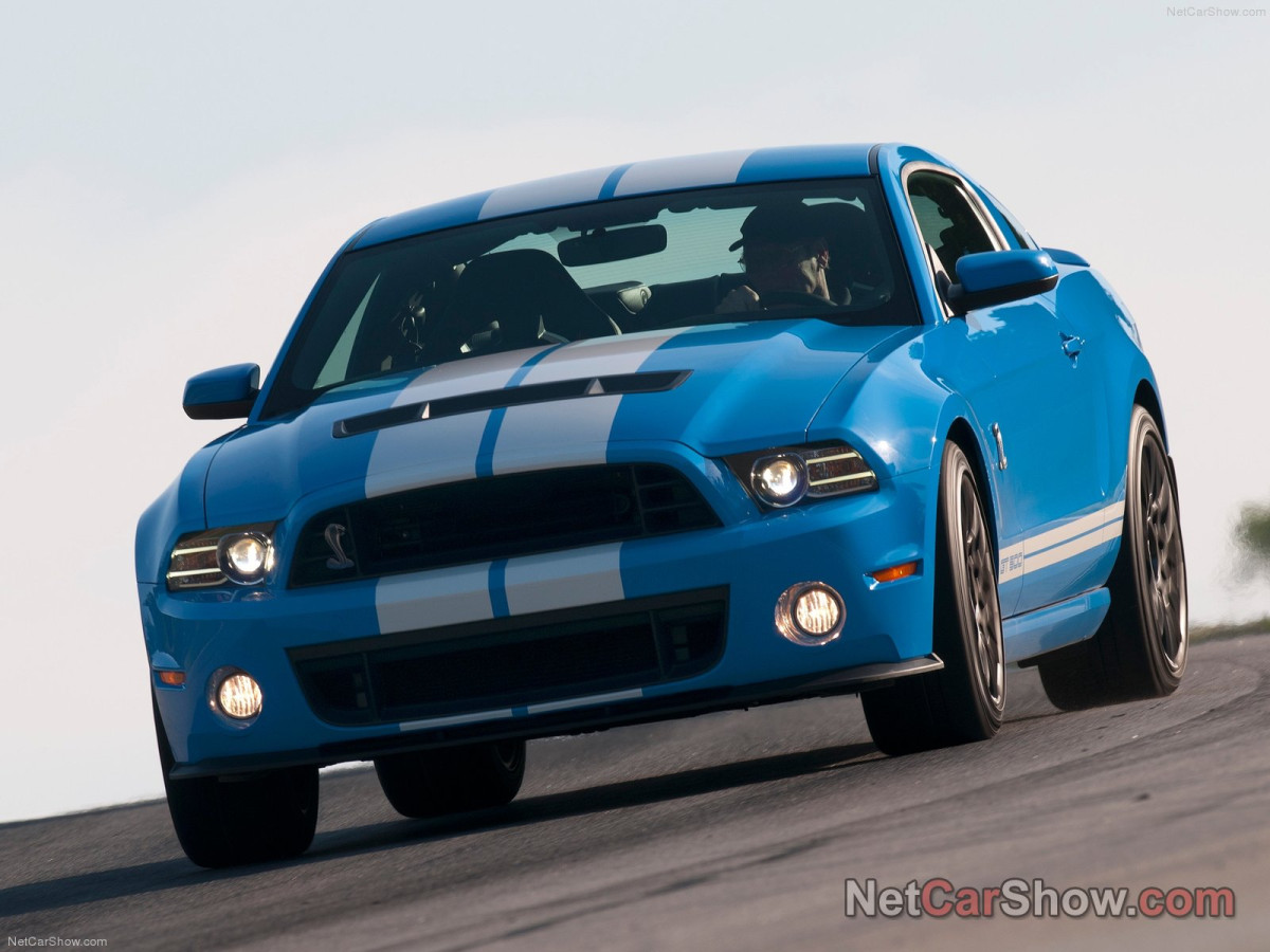 Ford Mustang Shelby GT500 фото 95448