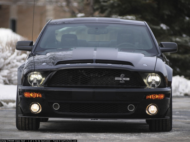 Ford Mustang Shelby GT500KR фото