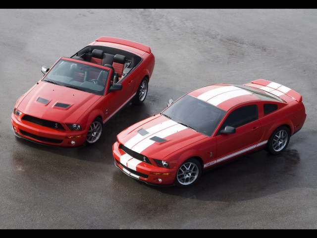 Ford Mustang Shelby фото